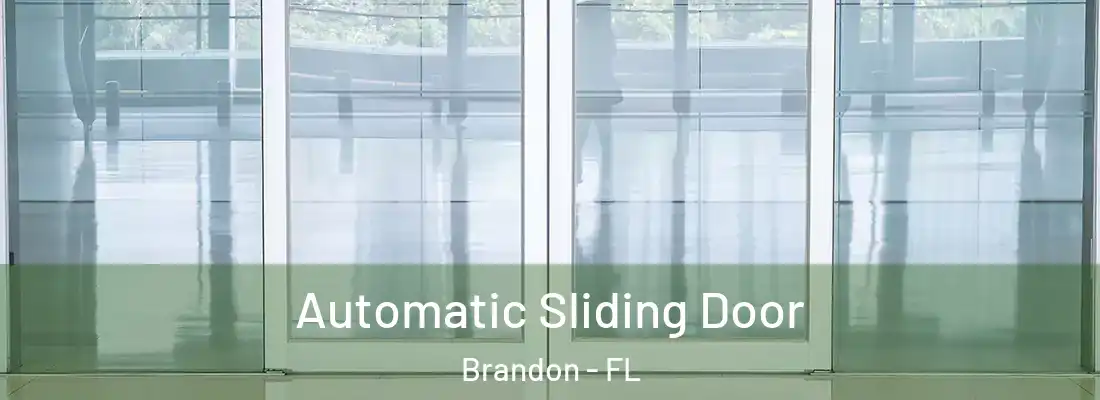 Automatic Sliding Door Brandon - FL