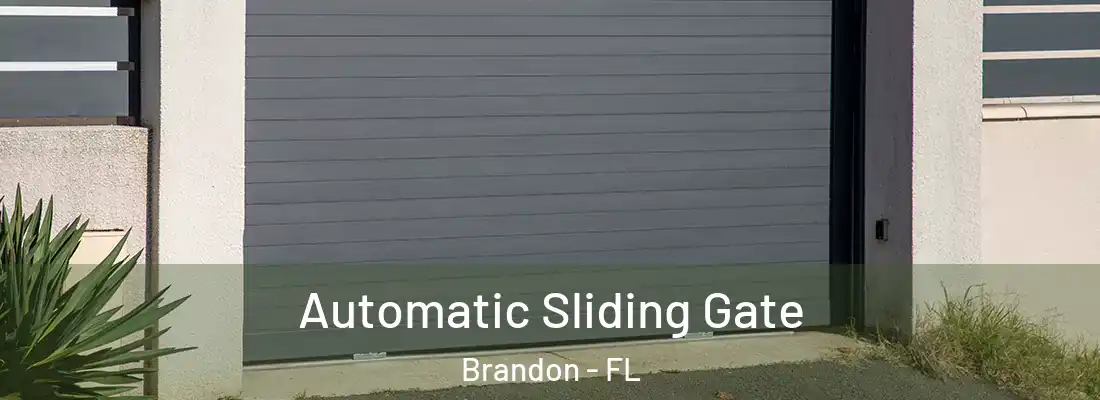Automatic Sliding Gate Brandon - FL