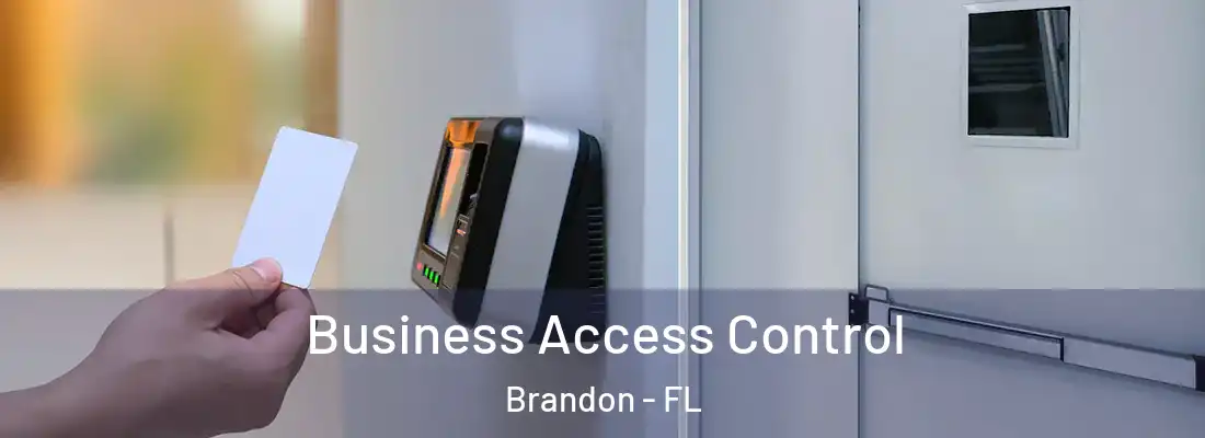 Business Access Control Brandon - FL