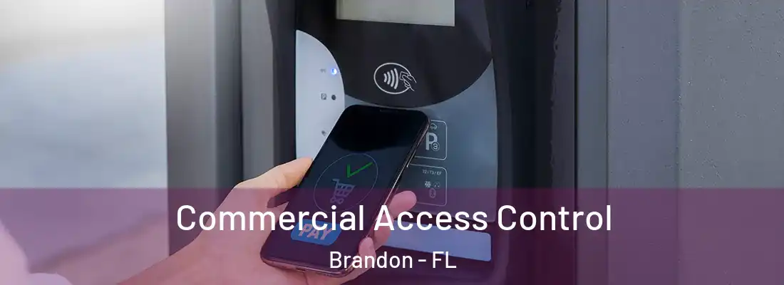 Commercial Access Control Brandon - FL