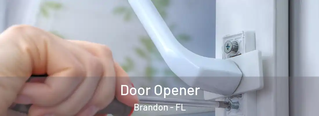 Door Opener Brandon - FL