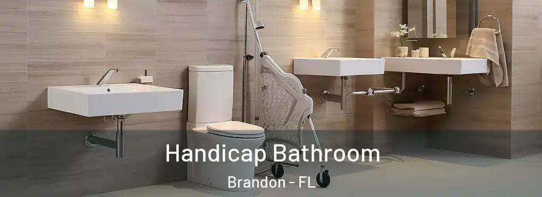 Handicap Bathroom Brandon - FL