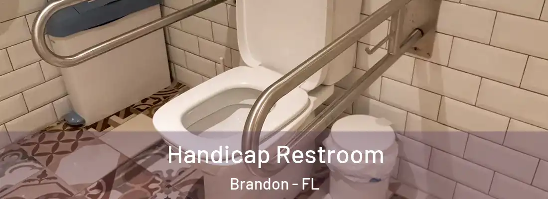 Handicap Restroom Brandon - FL