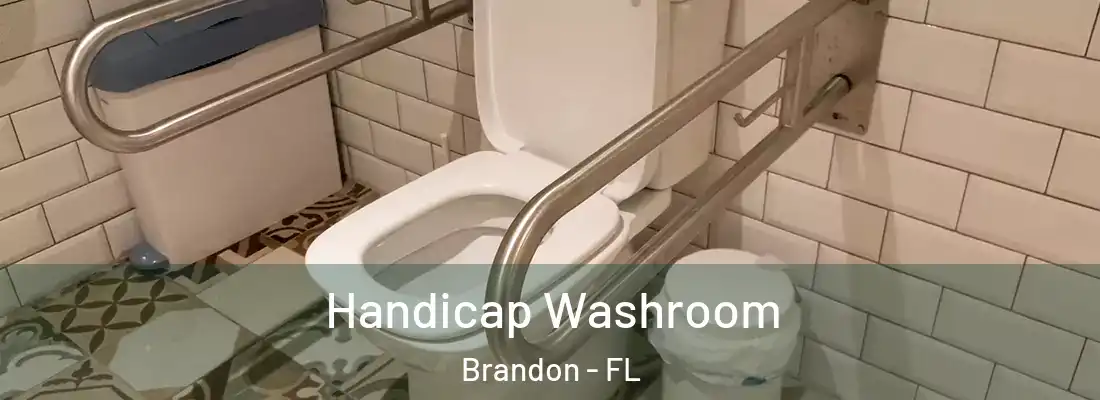Handicap Washroom Brandon - FL