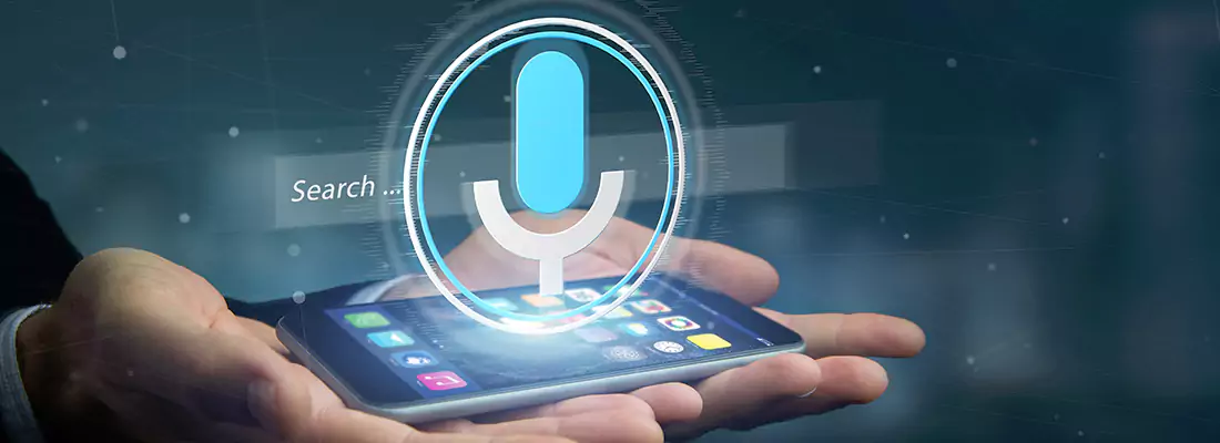 Enhance Security with Voice Recognition Access Systems in Brandon, FL