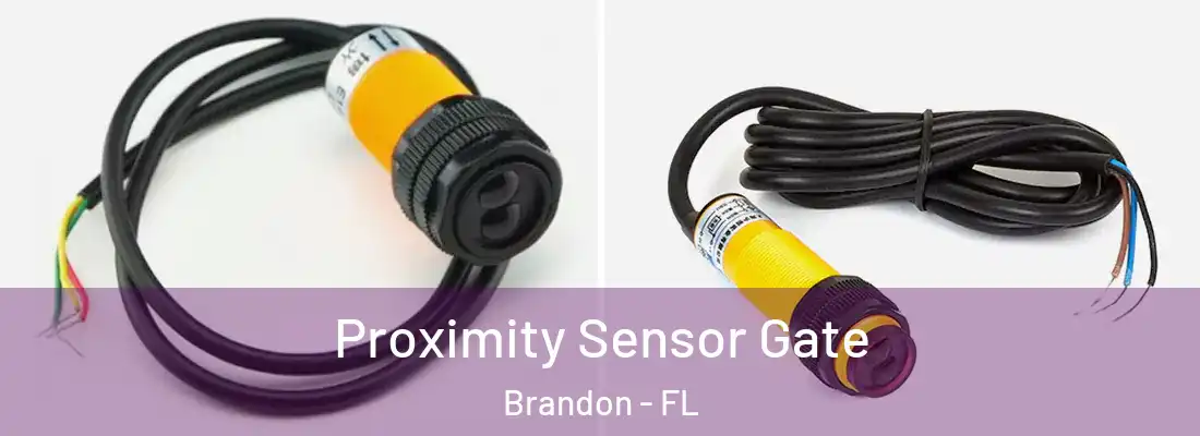 Proximity Sensor Gate Brandon - FL
