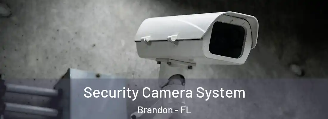 Security Camera System Brandon - FL