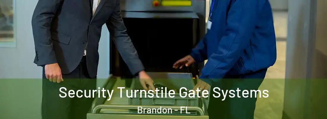 Security Turnstile Gate Systems Brandon - FL