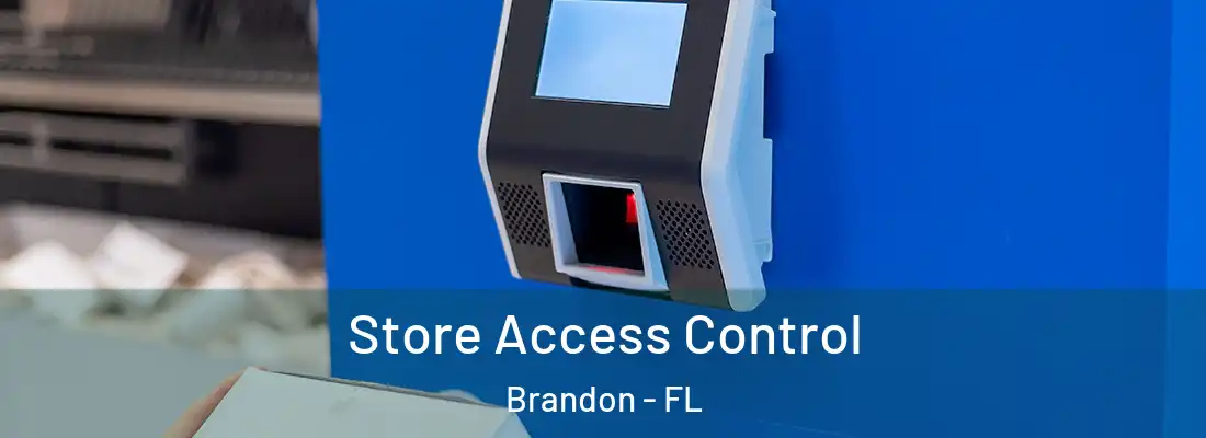 Store Access Control Brandon - FL