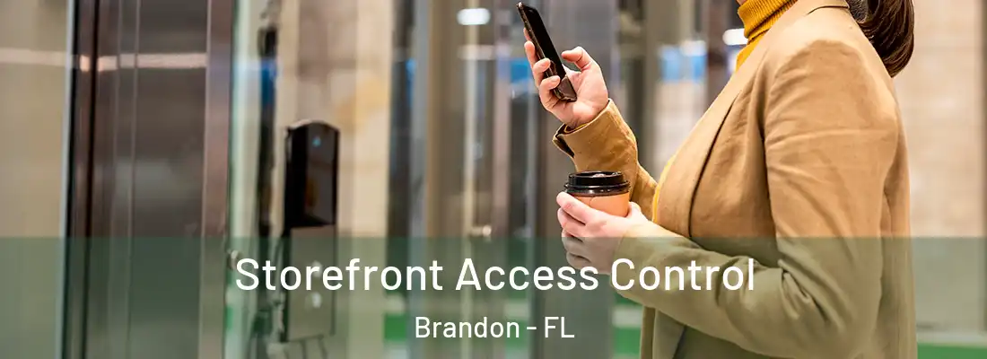 Storefront Access Control Brandon - FL