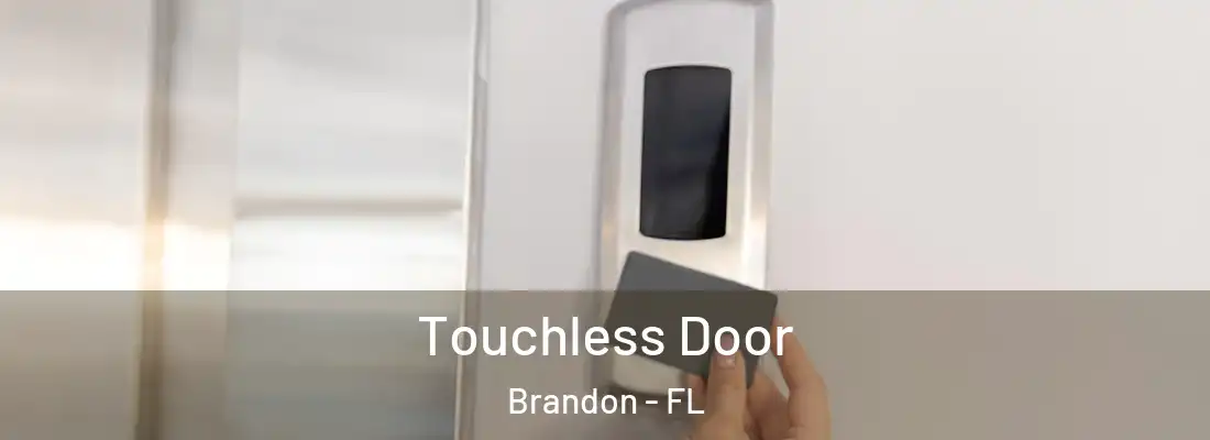 Touchless Door Brandon - FL